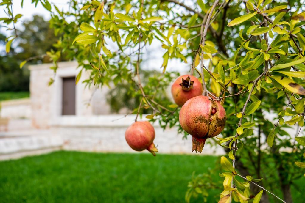 Вилла Masseria Paretano Альберобелло Экстерьер фото